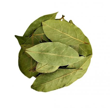 فروش انواع برگ حنا مرغوب