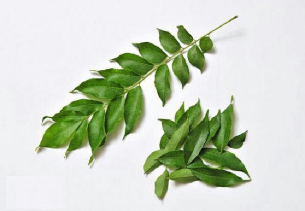 راهنمای خرید برگ حنا تازه