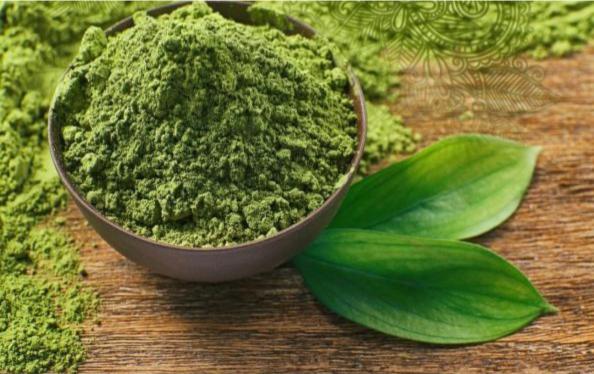 انواع مختلف برگ حنا تازه