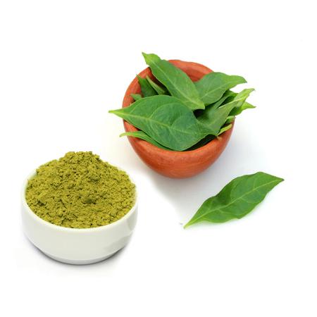 ویژگی های یک برگ حنا خوب