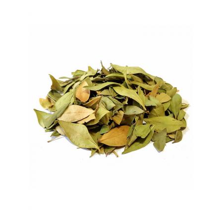 خرید بدون واسطه برگ خشک شده حنا