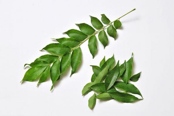 فروش انواع برگ حنا‌ فله ای