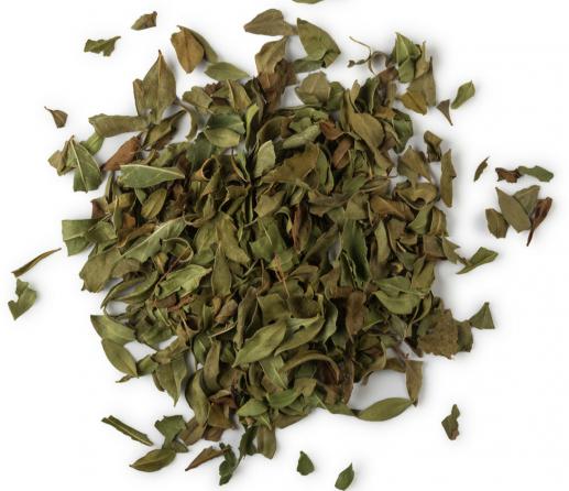 فروش انواع برگ حنا خشک