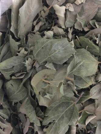 تولید کننده برگ گیاه حنا خشک شده