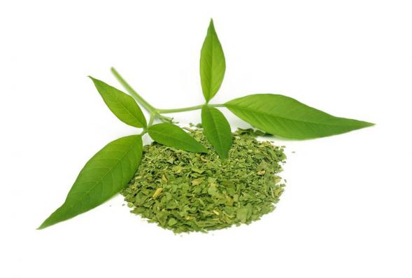 کیفیت استاندارد برگ حنا