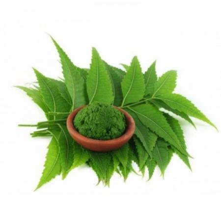 فروشگاه انواع برگ سبز حنا