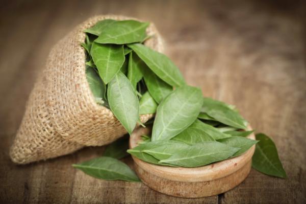 راهنمای تولید برگ حنا درجه یک