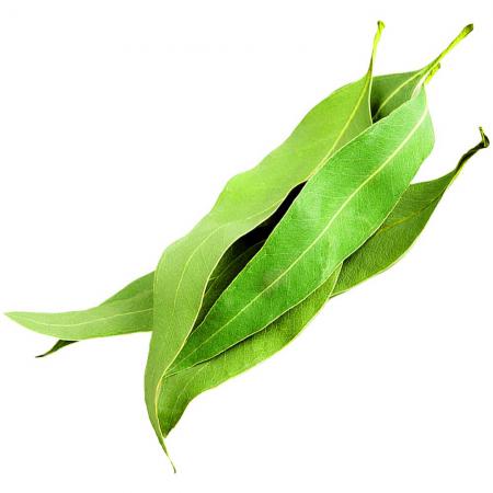 خواص بی نظیر وسمه حنای مشکی برای تقویت مو