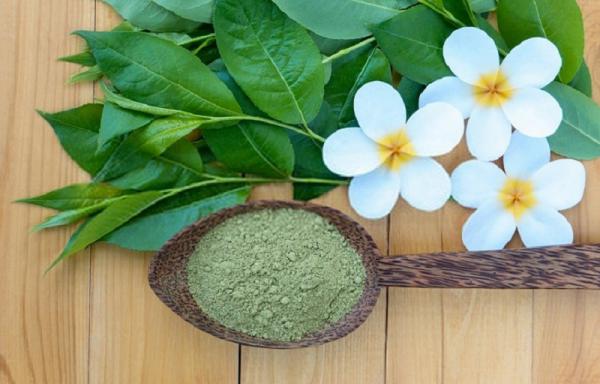 خواص درمانی بینظیر برگ سبز حنا