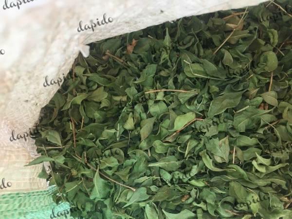 نحوه تولید برگ حنا درجه یک