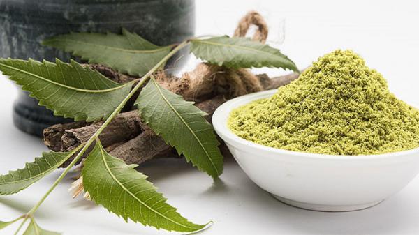 مشخصات کامل برگ حنا‌ فله ای