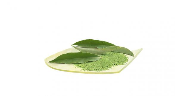 انواع مختلف برگ حنا خشک