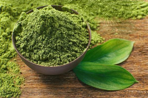 مراکز خرید برگ خشک شده حنا