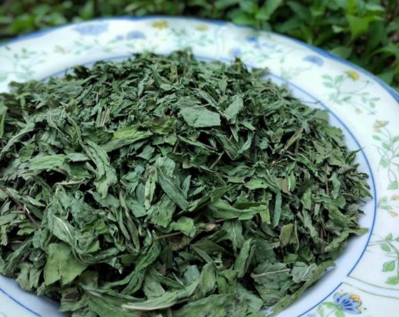 قیمت کلی حنا صادراتی درجه یک