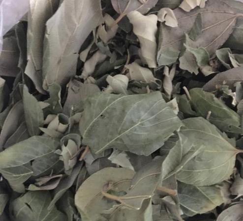 تولیدکنندگان انواع  برگ حنا درجه یک