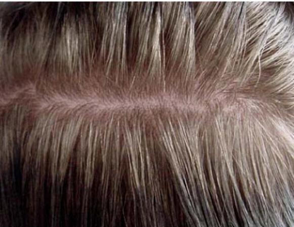 پخش انواع وسمه بسته بندی