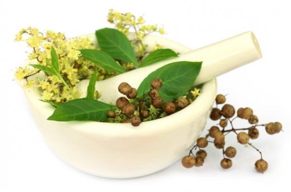 بازرگانی فروش برگ خشک شده حنا