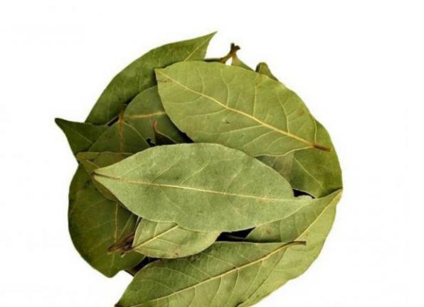 بازار خرید برگ حنا خالص