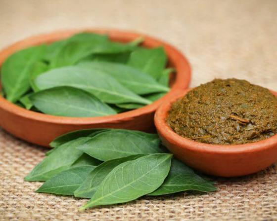 گیاه وسمه را بهتر بشناسید