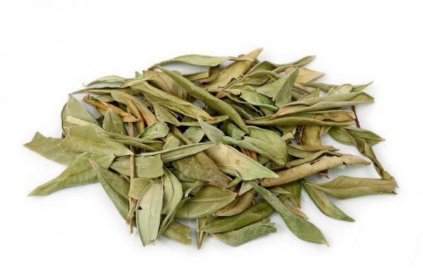 قیمت انواع برگ سبز حنا