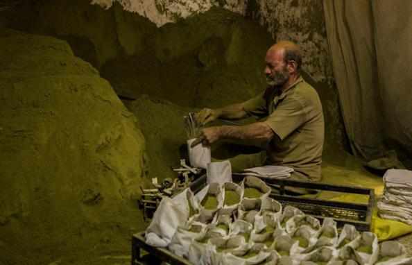 قیمت انواع حنای کیسه ای تازه