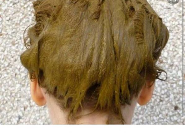 نکاتی درباره استفاده از حنا