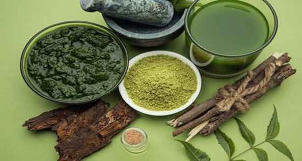 قیمت انواع برگ حنا تازه