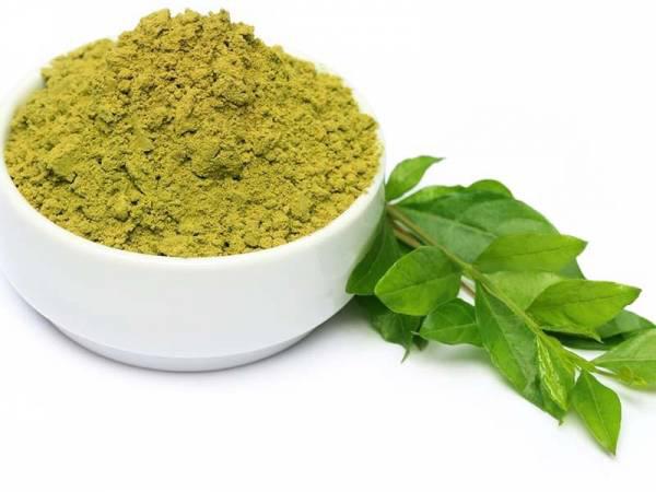 توزیع کننده حنا سبز تازه