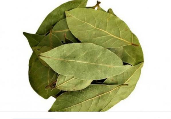 طرز استفاده از حنا برای ناخن