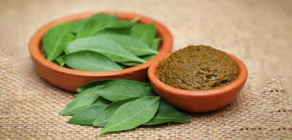 صفر تا صد گیاه وسمه را بدانید