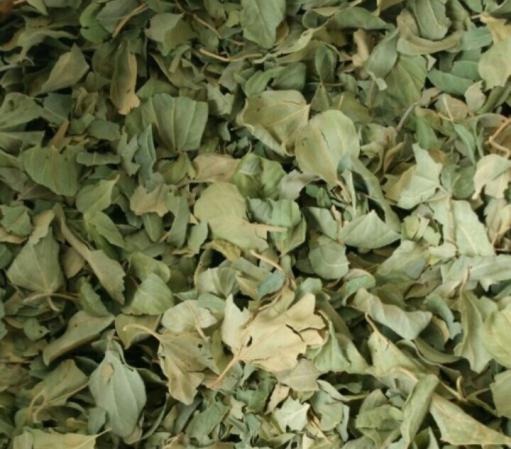 عرضه کنندگان مستقیم برگ حنا خشک شده