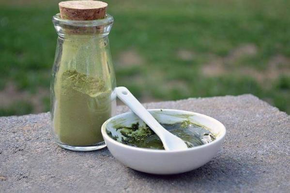 بازار فروش حنا سبز تازه