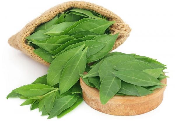 شاخصه های بارز برگ سبز حنا