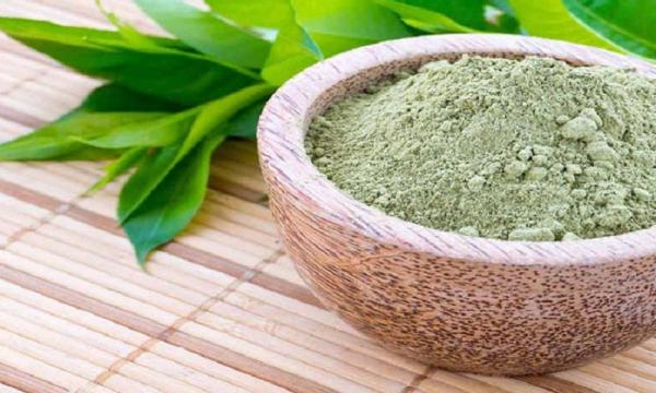 مراکز پخش مستقیم برگ حنا خالص