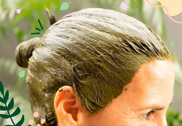 خرید انواع حنا سیاه درجه یک