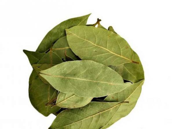 خرید انواع برگ گیاه حنا