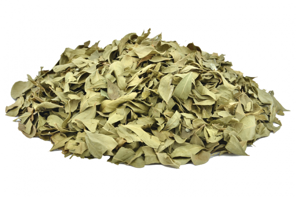 5 ویژگی مهم برگ سبز حنا