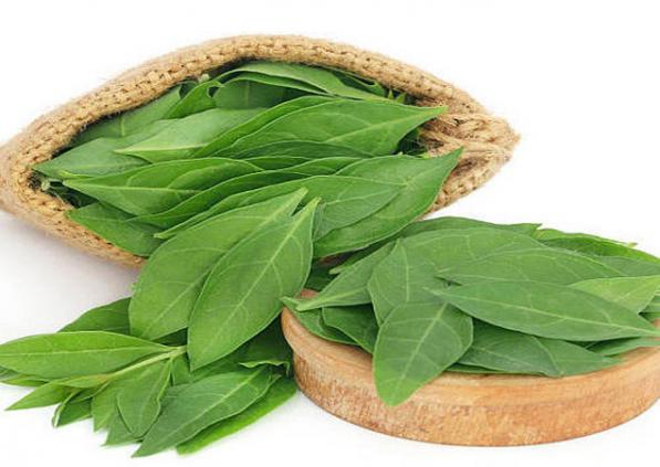 خرید انواع برگ حنا درجه یک