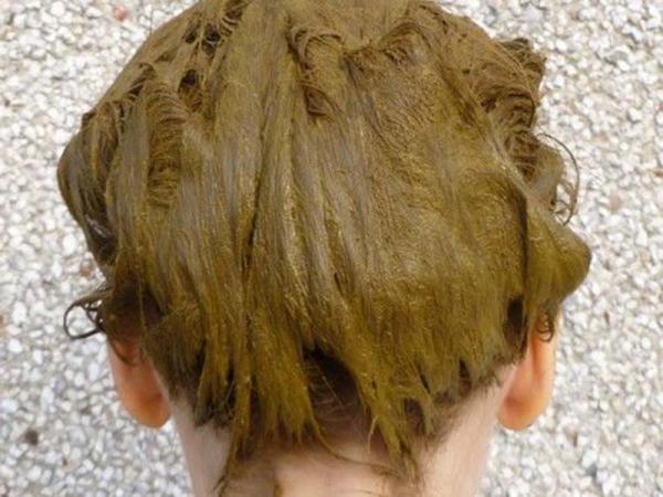 5 ویژگی مهم حنا سیاه خالص